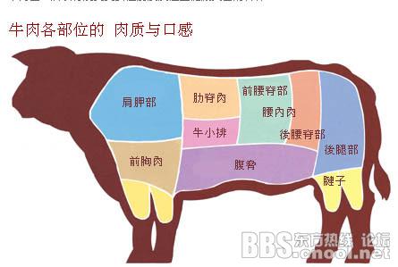 牛排的基础知识(不对的,请指教) [复制]