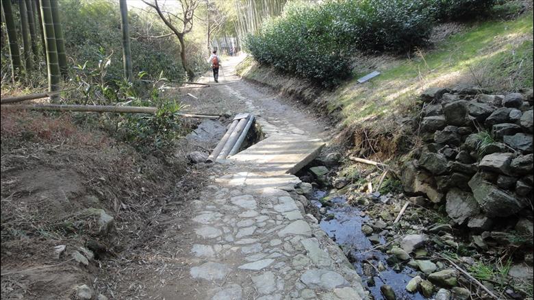 九龙湖登山步道 [复制]