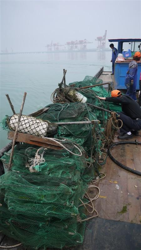 宁海哪里吃海鲜_深圳澳头吃海鲜_家乡宁海图片