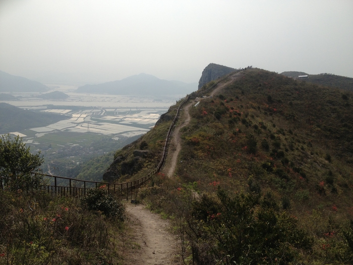 温岭上堡山杜鹃花