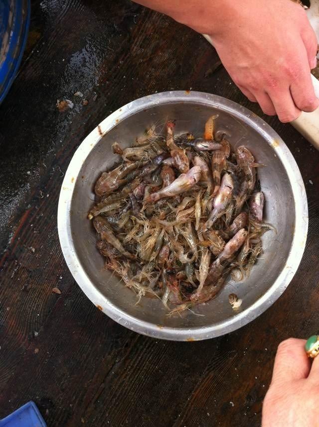 宁海湾海鲜坊_汕头海湾大桥_青岛海湾理工学院照片(4)