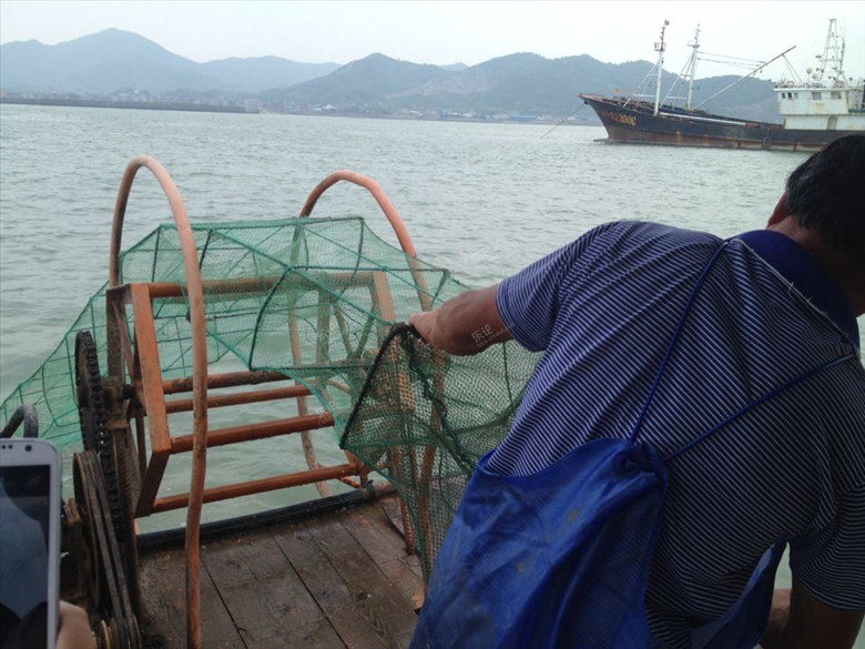 单休游走 旅游 奉化莼湖海钓一日游  [复制] 阅读[ 3895 回复[ 7