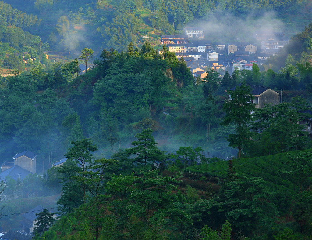 氤氲如在画黄坛