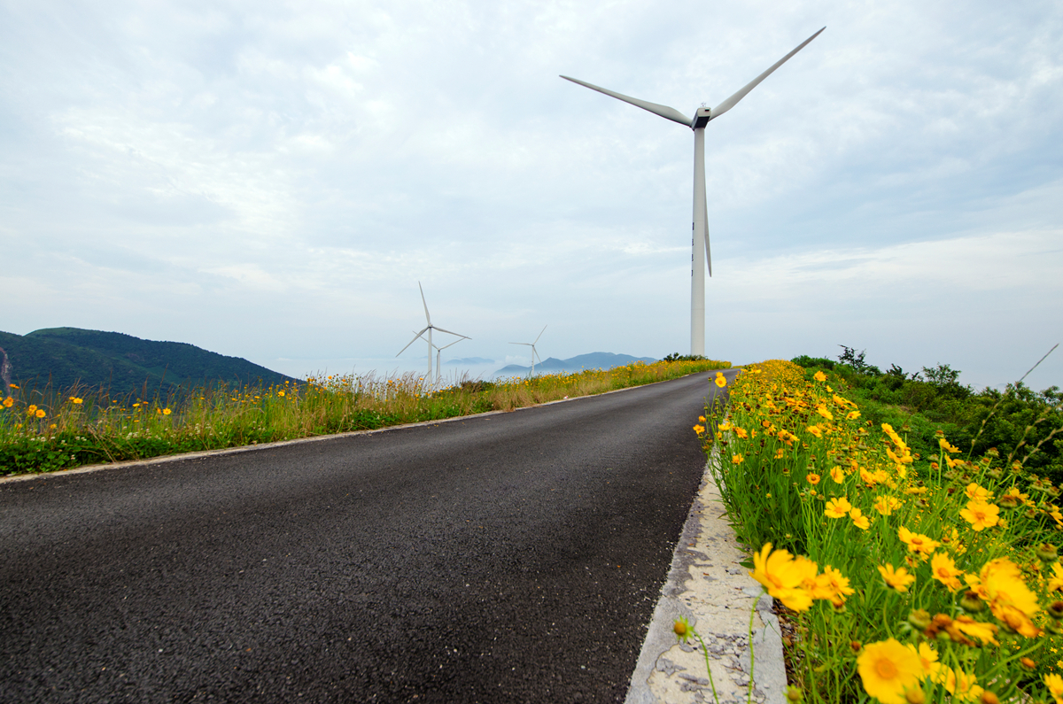 领略宁波最美公路