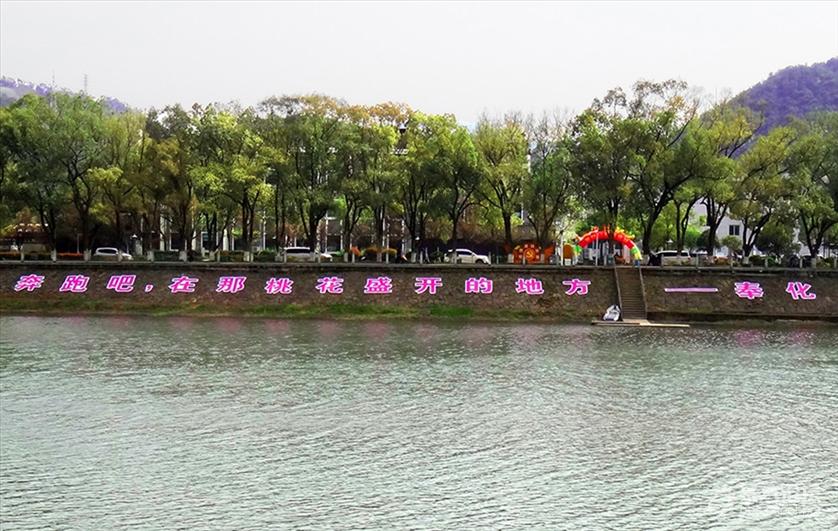 2019奉化海峡两岸桃花马拉松明天就要开赛了 [复制]