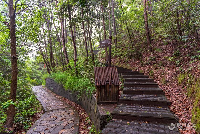 龙观交坑(中坡山森林公园) [复制]