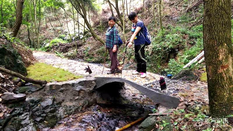 探路深溪龙鹫登山健身步道环线复制