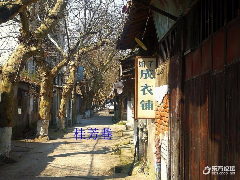 漫步宁波老城厢——秀水街历史街区