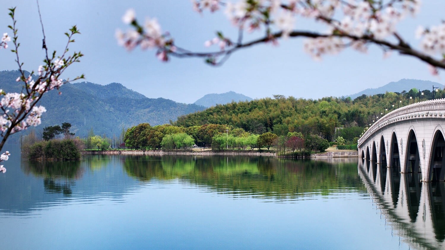 湖光山色,景色怡人-四明湖的春天