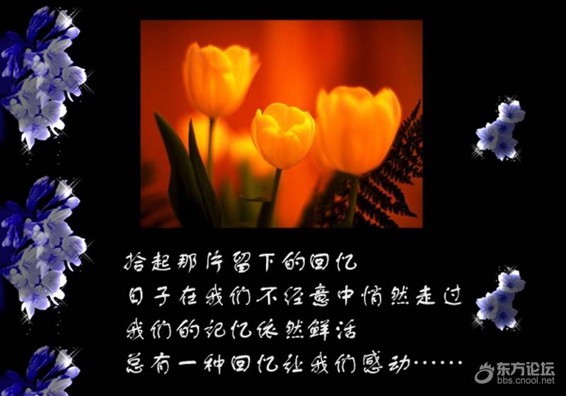 《往事如烟》(3)——挖笋