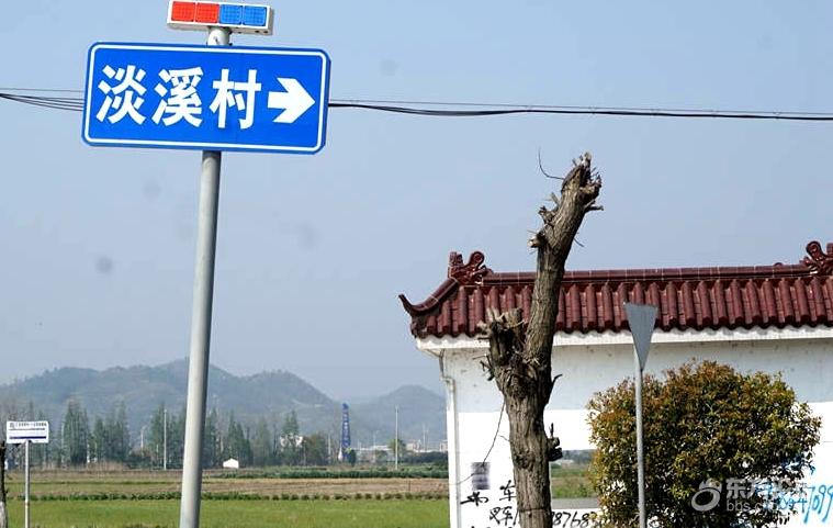 奉化区松岙镇淡溪村鲍家基地欣赏梨花