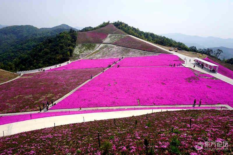 限量50台的登峰造极之作 劳斯莱斯魅影飞鹰八号典藏版亮相