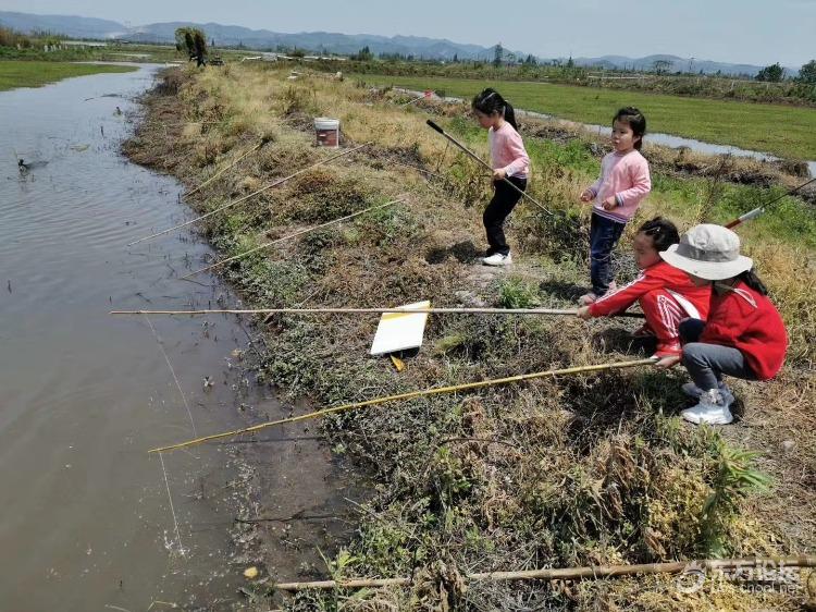 摩藤龙虾养殖基地欢迎您来免费钓龙虾