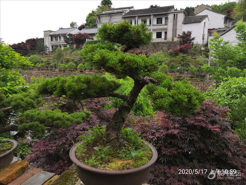 四明山上的花园村三十六湾村