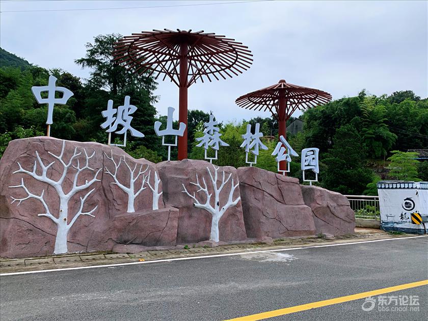 中坡山森林公园位于宁波市西北部龙观半山交坑大峡谷境内,北接国家4a
