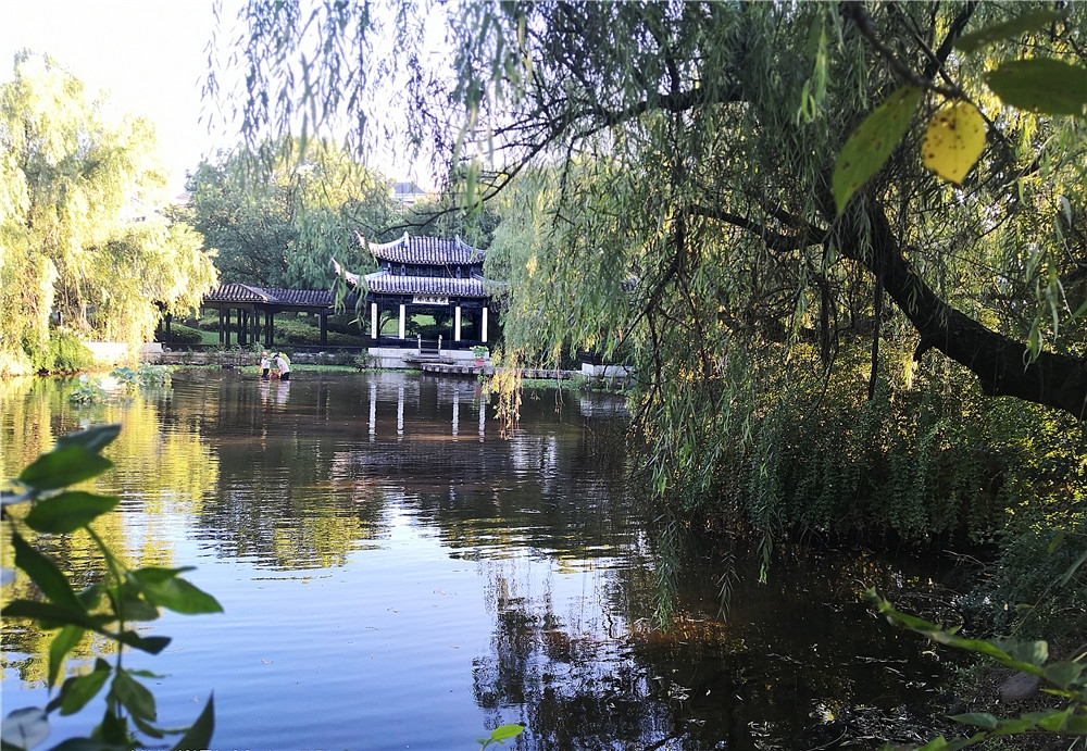 奉化溪口武岭公园重现荷蒲送风美景