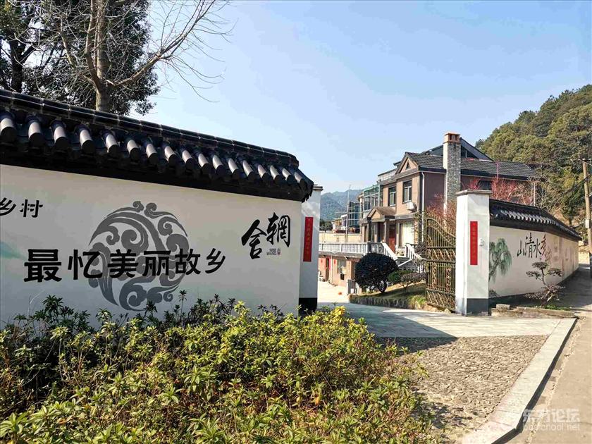 去莼湖南岙村观赏白梅复制