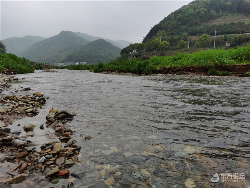 打卡鄞州塘溪镇堇山湖 路遇老上海 伤害不大侮辱极强