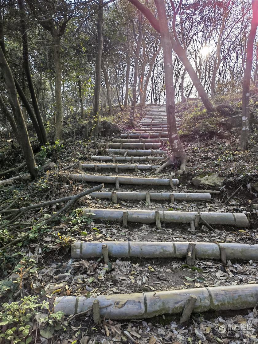 户外徒步龙鹫古道 东论 东方热线·东方论坛-宁波论坛—家长里短写