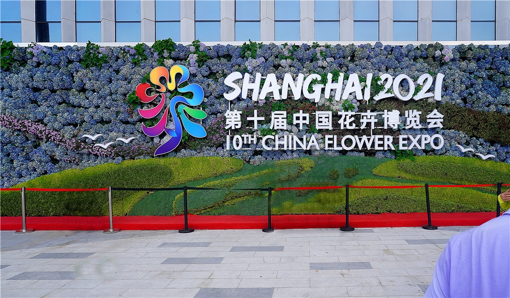 我们在上海崇明岛 参观第十届中国花卉博览会