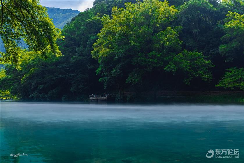 宁波下严村自然形成雾景