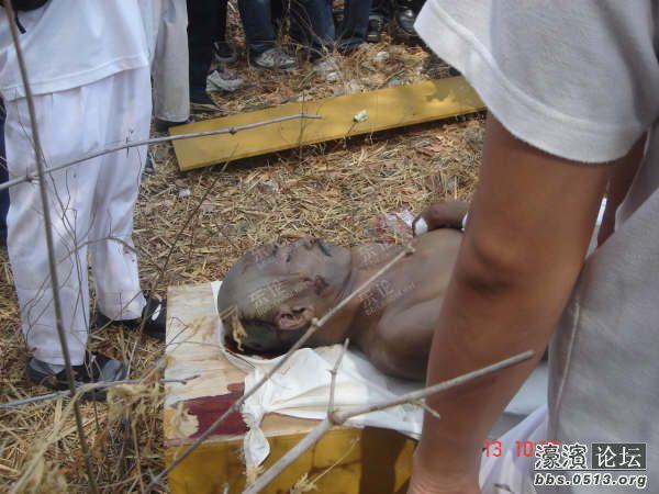 贴图视界 (共 8257 个图集)