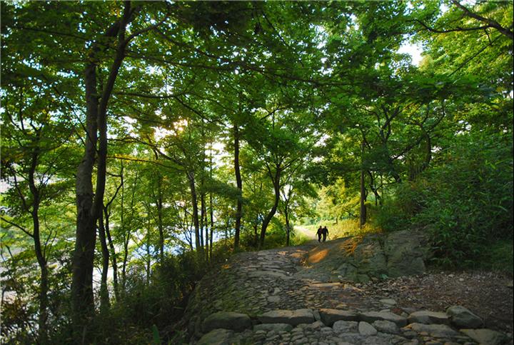 "宁波市十大文化古道"评选活动正式启动 [复制]