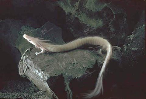 家长里短写你我身边事!