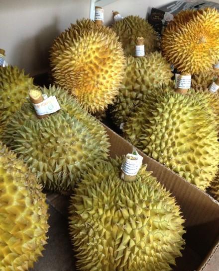 【6折团购】 骆驼牌>泰国榴莲开始团购了
