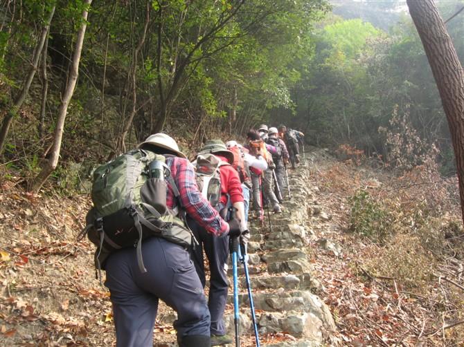 揹包群10月28日壺潭-唐田-棲霞坑 爬山 [複製]