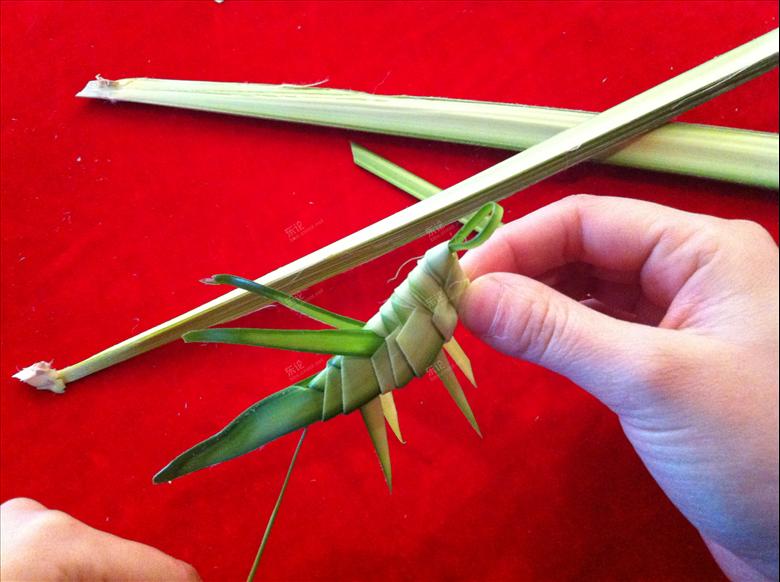 趁着周末,草编蚂蚱,彩绘风筝!