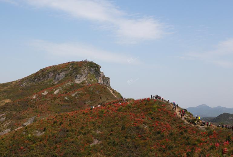 圓臺面 大拇指 獅子頭 小天湖 花海=上保山! [複製]