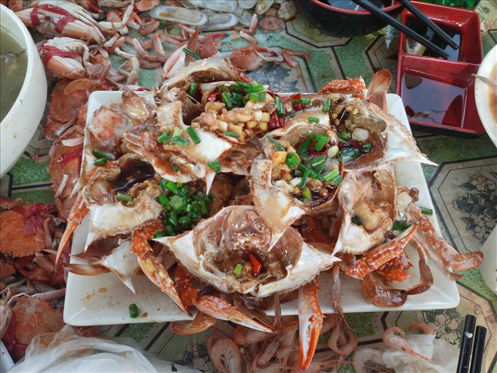 象山港捕鱼休闲游 - 单休游走- 东论 东方热线·东方论坛-宁波论坛