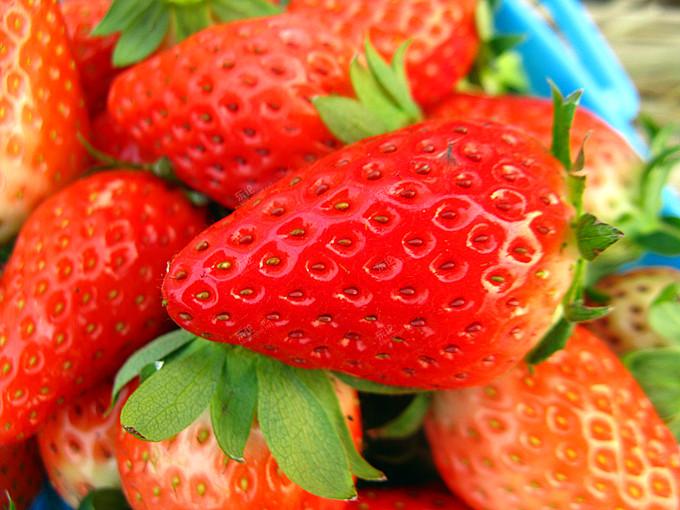 老寿星居然捧上了红草莓 [复制]