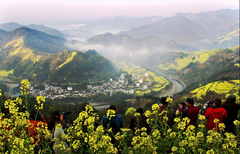 3月22-23日新安江山水畫廊 石潭 昌溪 深度觀油菜花海 [複製]