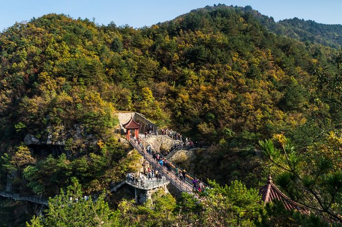 玩在宁波★3月29-30日临安大明山,太湖源2日游 [复制]