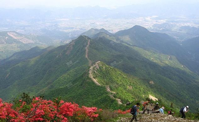 4月27号周日穿越挑战【天台-大雷山】龙脊,赏高山杜鹃花 绿野户外