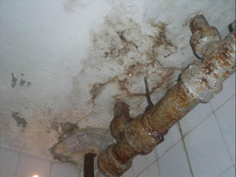 精修 卫生间漏水 有图