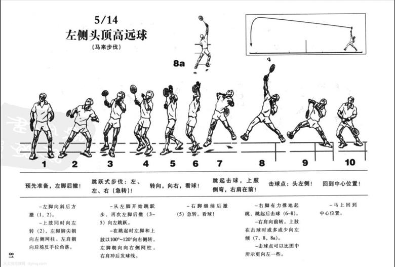 【步伐】马来步——最常用的头顶后退步伐 - 羽毛球- 东论 东方热线