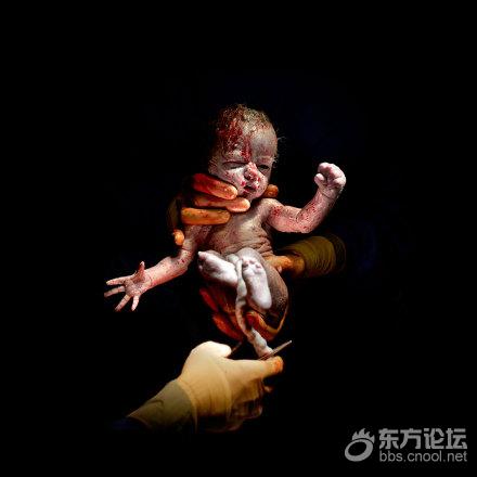 贴图视界- 东论 东方热线·东方论坛——最宁波 最生活!