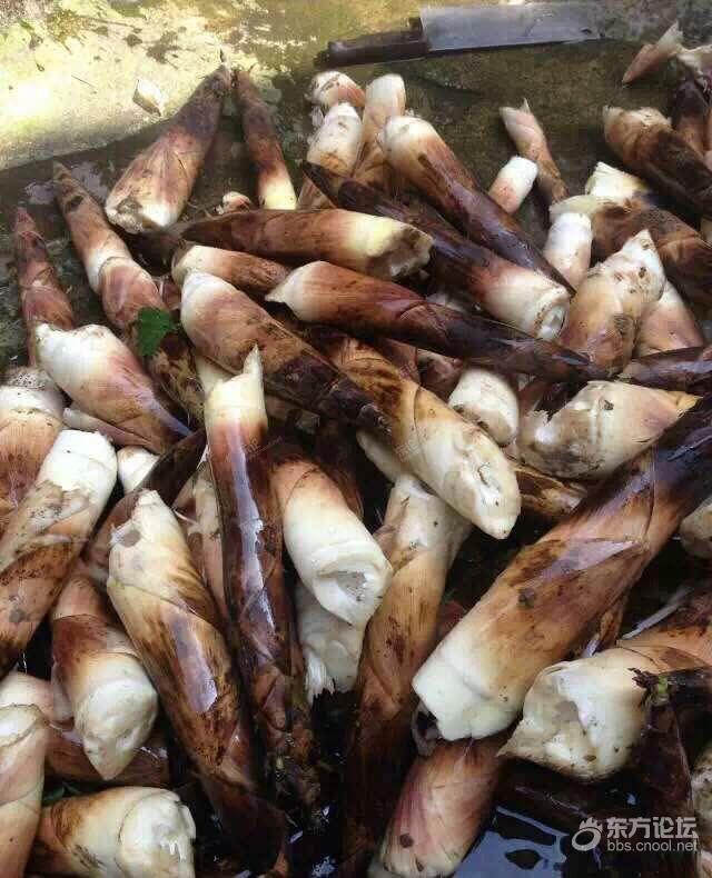 油焖笋的制作过程