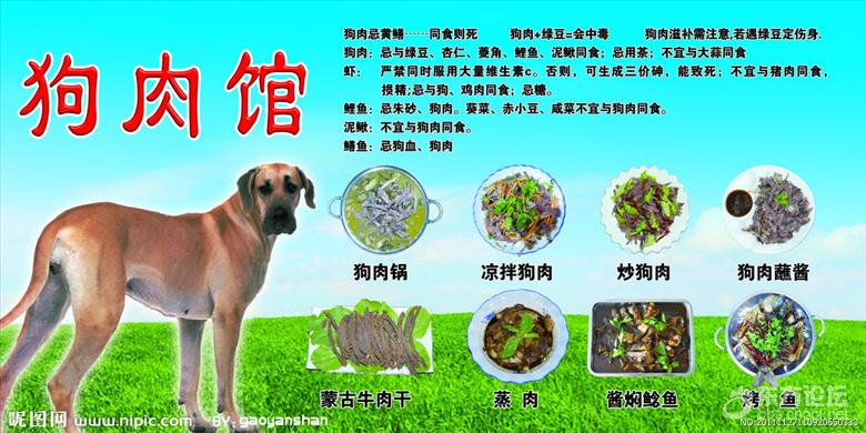 卖狗肉违法的.
