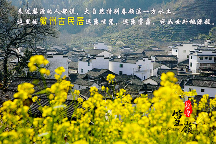 玩在宁波★3月19-20日 游婺源篁岭花海梯田 土楼村落2日游 [复制]