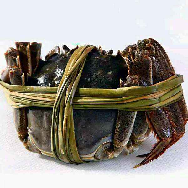 快来尝鲜!正浩鲜食固城湖大闸蟹来了!- 东论 东方热线·东方论坛-宁波