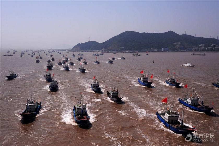 当东海第一网海鲜上了餐桌,你知不知道海上捕鱼的心酸!