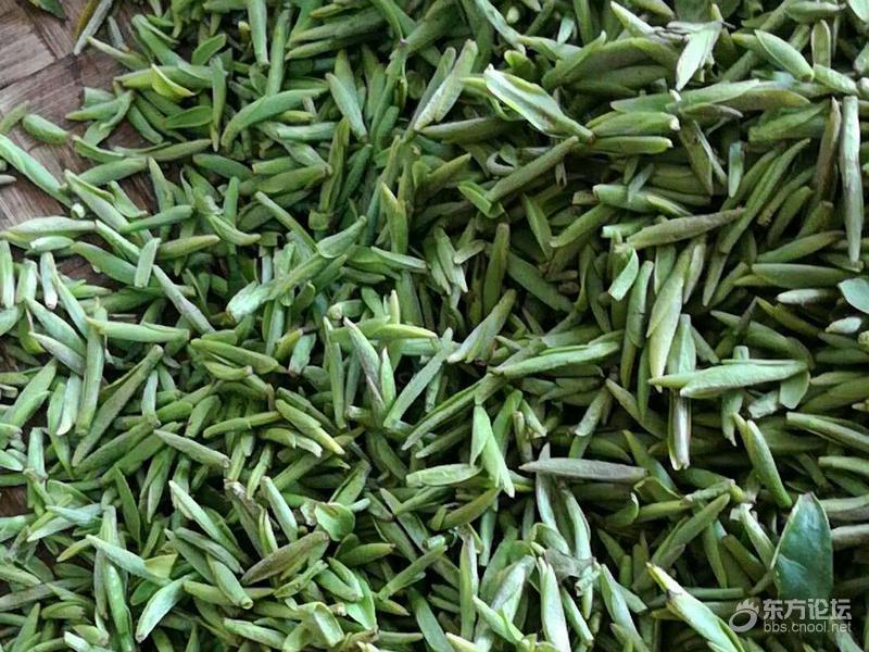 余姚梁弄2018新茶上市 欢迎选购-宁波分类信息-东论信息广场