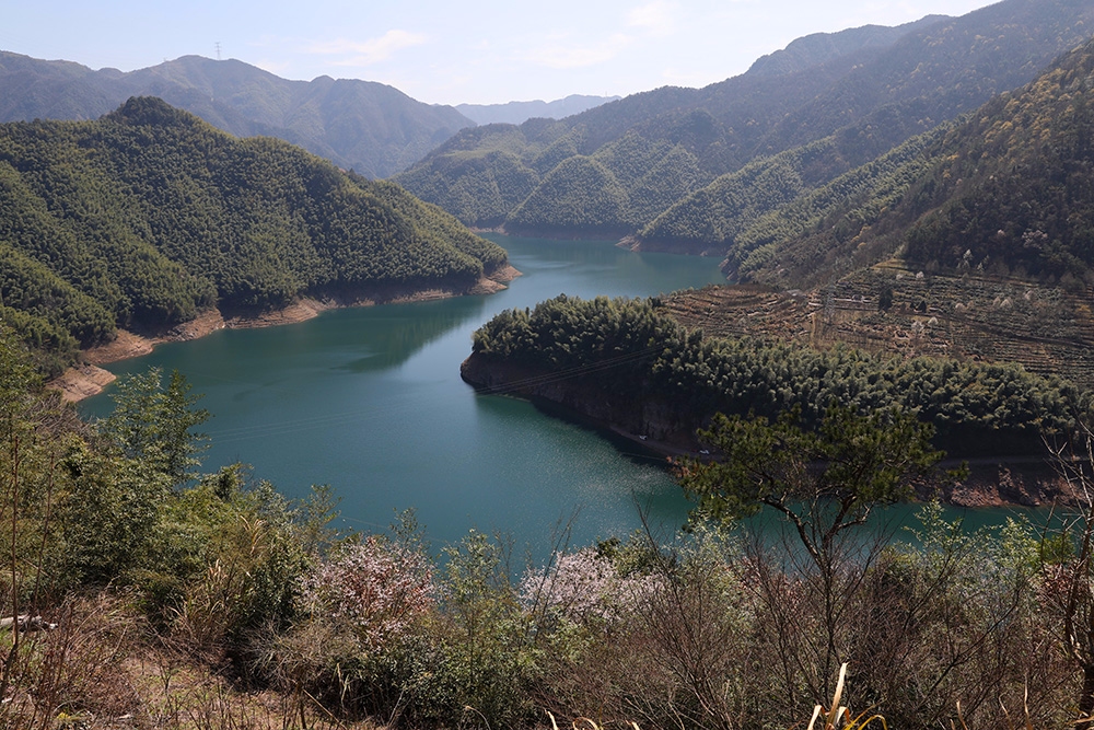 探访古树群公园,湖光山色,先睹为快- 东论 东方热线·东方论坛-宁波
