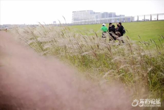 这个地方适合晚上去,不适合白天去!以前老司机懂