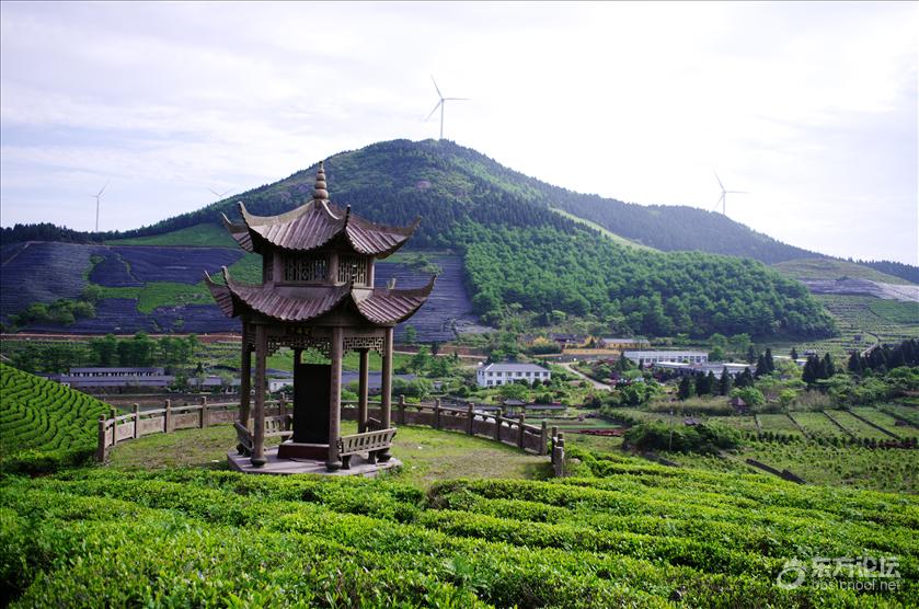 宁海东海云顶美景 [复制]