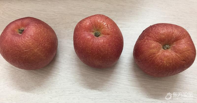 记录3只坚强苹果的倒下:从新鲜到腐烂,历经半年!